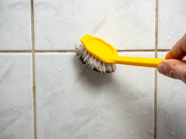 Best Local Mold Removal Service  in Bull Valley, IL