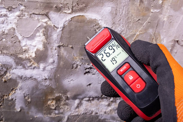 Best Best Mold Removal Companies  in Bull Valley, IL